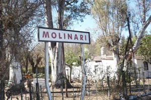 Molinari